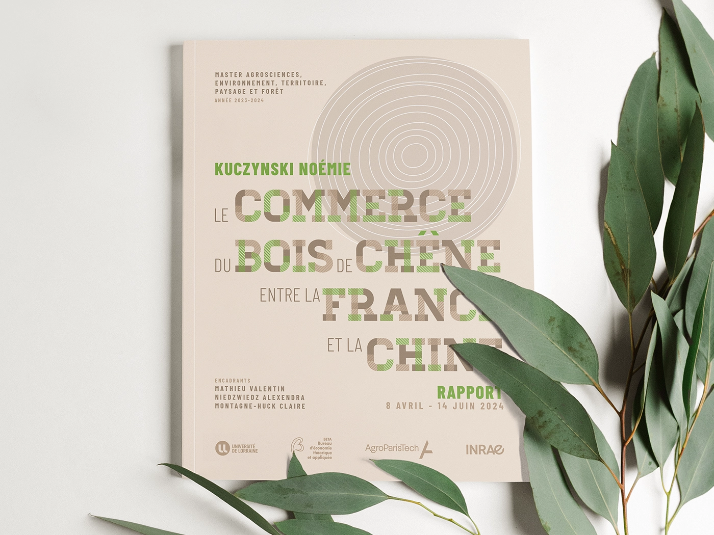 Kuczynski Noémie - Rapport 2024, Le commerce du bois de chêne entre la France et la Chine